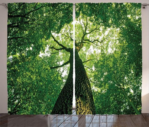 

curtain & drapes farm house decor curtains tall old tree bottom view with sunlight treebranches leaves living room bedroom