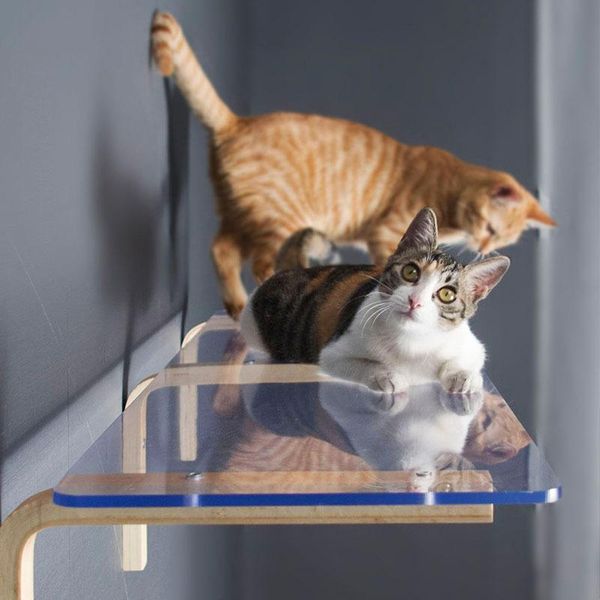 

cat beds & furniture springboard wall mounted climbing frame pet transparent platform 45 * 30cm acrylic