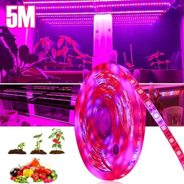 

strip lamp 12v flexible rgb light 5m 300leds waterproof lighting ribbon tape red blue strips led