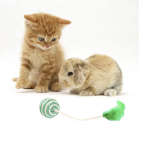 

cat toys pet ball with feather toy play chewing straw artificial colorful teaser supplies.