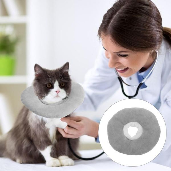 

cat collars & leads pet collar anti-biting ring elizabeth circle hood accessory
