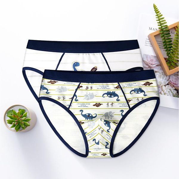 

2 pieces boys underwear boxer cotton children's underwear small middle school boys boxer underpants baby shorts, Camo