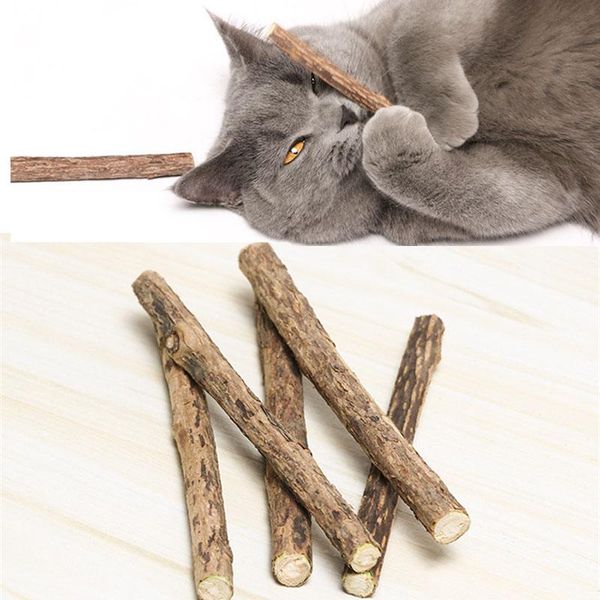 

cat toys 5pcs/set chewtoys natural actinidia kolomikta wooden molar rod delicious pet cleaning teeth supplies
