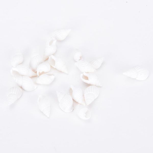 

mini beach seashells nautical decor sea shells shell craft aquarium decorations