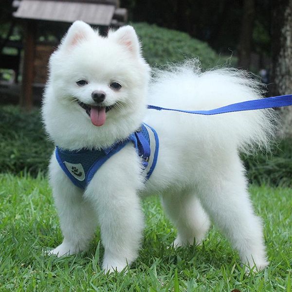 

dog collars & leashes dogs mesh harness traction rope pet lead leash polyester breathable collar adjustable vest
