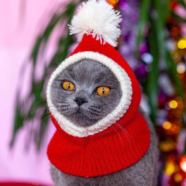 

cat costumes comfortable fashion pet knitted headwear for christmas hat
