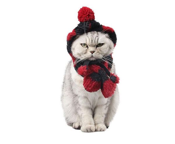 

dog apparel cute strip winter warm scarf scarves cat pet knitted hat cap with fur ball neckerchief christmas costume outfit