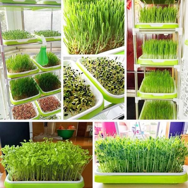 

germination sprouting tray grow labels nursery planting box plastic pots planters &