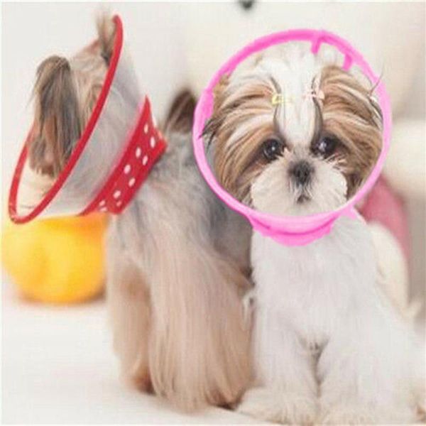 

pet wound healing protective cone collar random color dog collars & leashes
