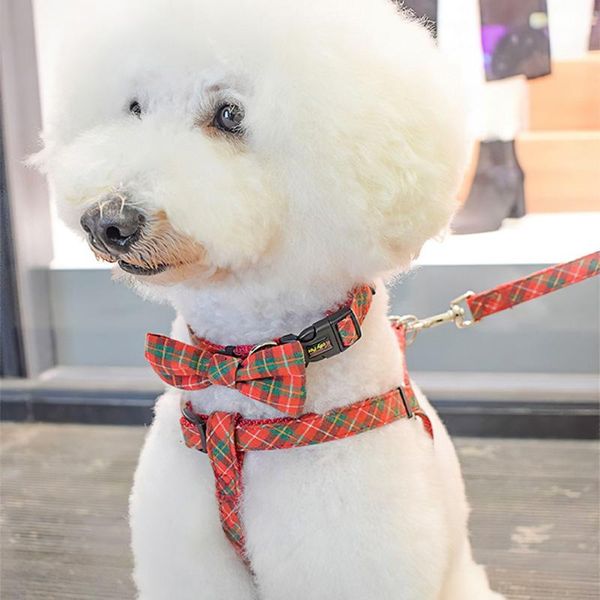 

dog collar d-shaped bowknot puppy chihuahua collars with bell adjustable safety buckle cat bow tie pets accessories & leashes