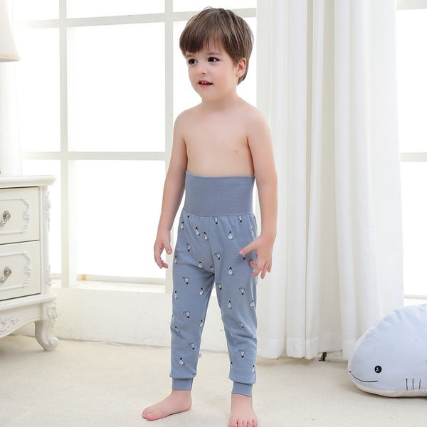 

2021 baby boys pants kids harem pants autumn thick animal dinosaur cotton car pants children trousers for girls long home, Blue