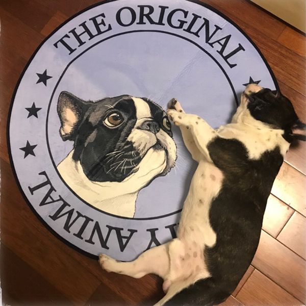 

Cartoon Pet Dog Mat Bed For Sma Medium arge Dogs Non-sip Puppy Big Dog Bankets Baskets For Animas French Budog Products