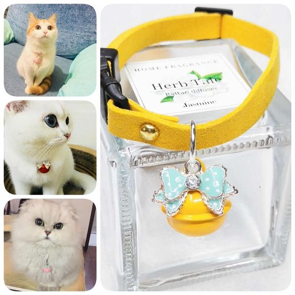 

cat collars & leads cute collar with matching bells solid color pet 6 colors currently available