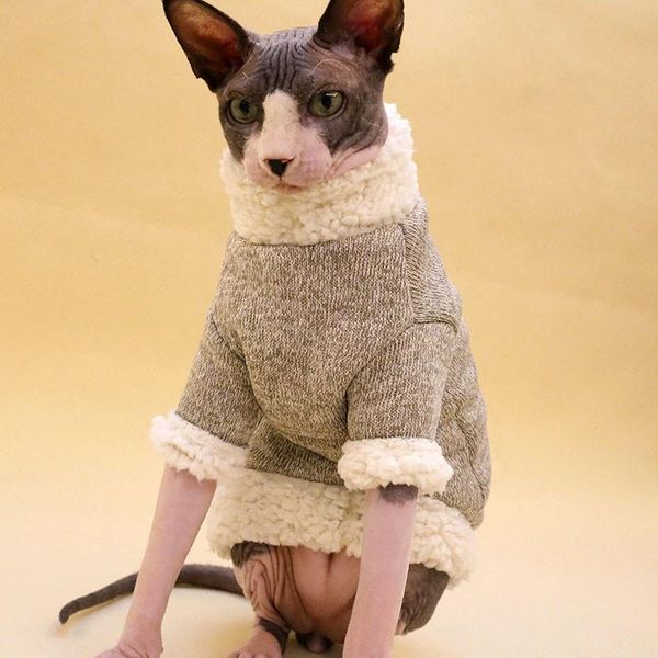 

cat costumes sphynx outfit cotton padded jacket winter thick warm soft cloud velvet high collar hairless clothes pet supply