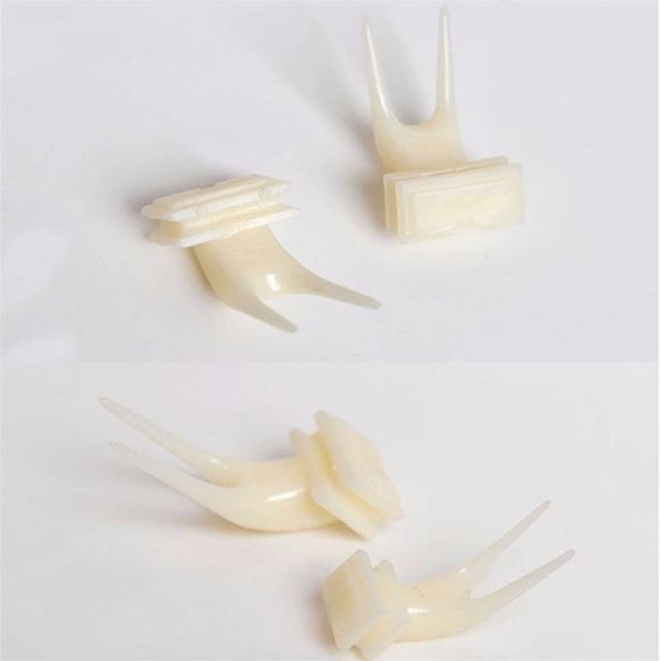 

other bird supplies birds parrots fruit fork feeder pet food holder feeding on cage