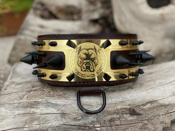 

dog collars & leashes leather collar spiked for dogs, copper engareved