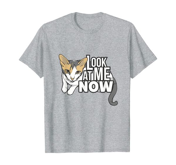 

look at me now kitten cute look cat fans, White;black