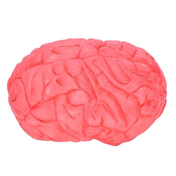 

party masks prop rubber horror fake scary human brain haunted house organ body part halloween decoration decor gag toys