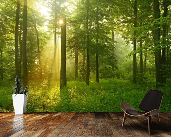 

wallpapers papel de parede foggy beech forest in the sun 3d wallpaper mural,living room tv wall bedroom kitchen papers home decor
