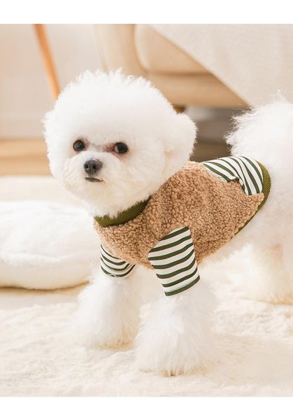 

cat costumes 2021 splicing coral fleece sweater dog costume pet clothes small autumn and winter
