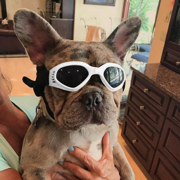 

fashion cool pets outdoor foldable pet dog goggles sunglasses puppy eyewear prop products apparel