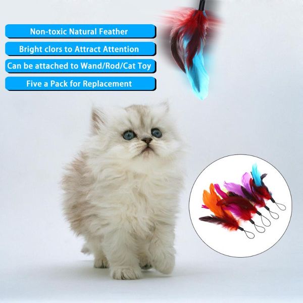 

cat toys 2pcs luxury extendable pet kitten feather teaser wand rod + 9pcs colorful natural long toy set