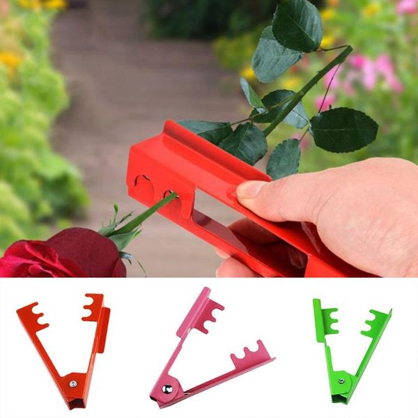 

planters & pots rose plier removing burrs garden tool flower cut florist metal thorn stem leaf stripper pruning branches