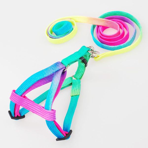 

100pcs 2021 rainbow colors design small pet dog and cat collar traction rope leash collars & leashes