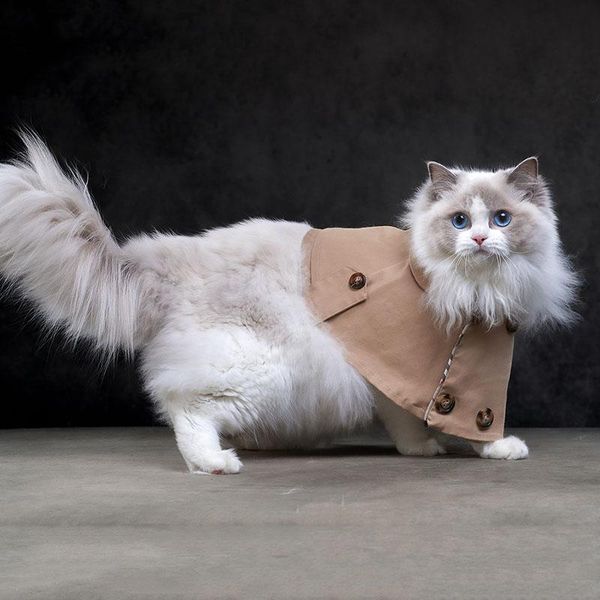 

cat costumes summer thin british style pet trench double-breasted windbreaker shawl clothes dog gentleman