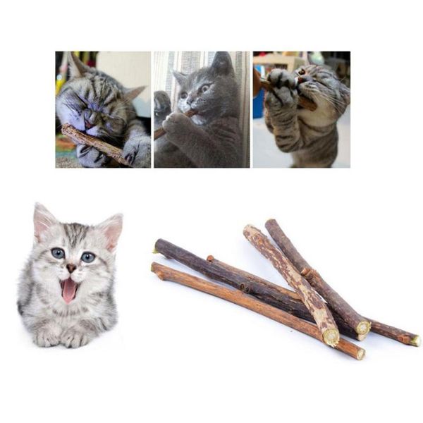 

cat toys 10pcs pure natural wood polygonum molar sticks toy for kitten cleaning teeth supplies