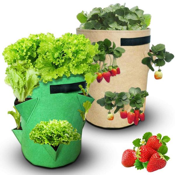 

vegetable grow bag strawberry plant growth home garden planting potato pot greenhouse d30 planters & pots