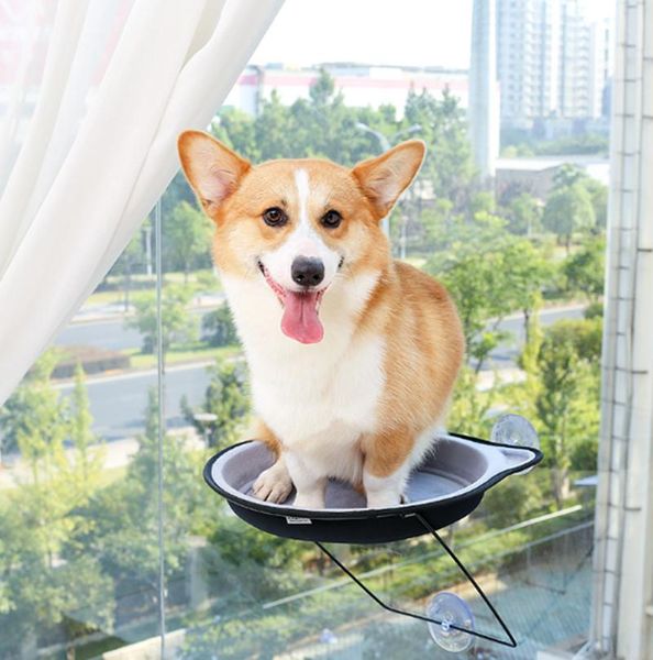 

cat beds & furniture suction cup hanging four seasons universal window sill pet supplies hammock