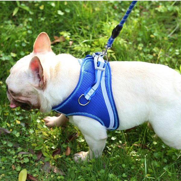 

dog collars & leashes reflective harness chest strap pet traction rope training adjustable walking leash collar cat mesh puppy suppliers