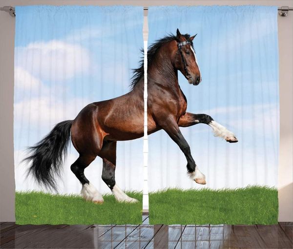 

curtain & drapes brown green horses curtains bay horse pacing on the grass energetic noble character nature concept bedroom window