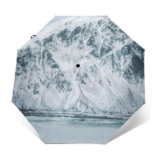 

umbrellas surf umbrella windshield auto art compact garden