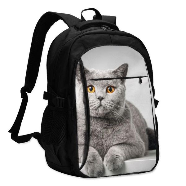 

backpack lapschool backpacks british shorthair cat lying usb charging business travel bag classic design