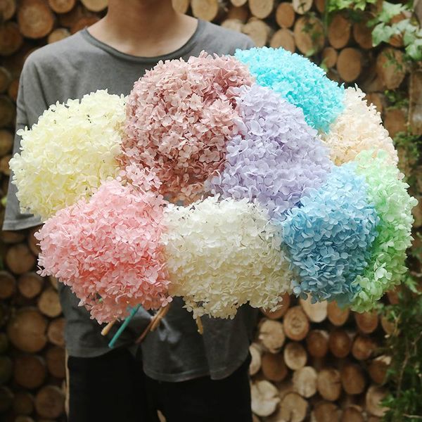 

decorative flowers & wreaths preserved hydrangea flower,dried natural flower head diy gift box,real eternal wedding party decoration table a
