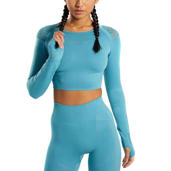 

yoga outfits high women sports suit seamless set workout gym push up leggings long sleeve crop dog88, White;red