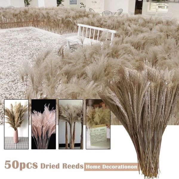 

50/30pcs dried flower reed wheat ears setaria brown bouquet boho decoration cafe home furnishing bedroom living room 40-55cm decorative flow