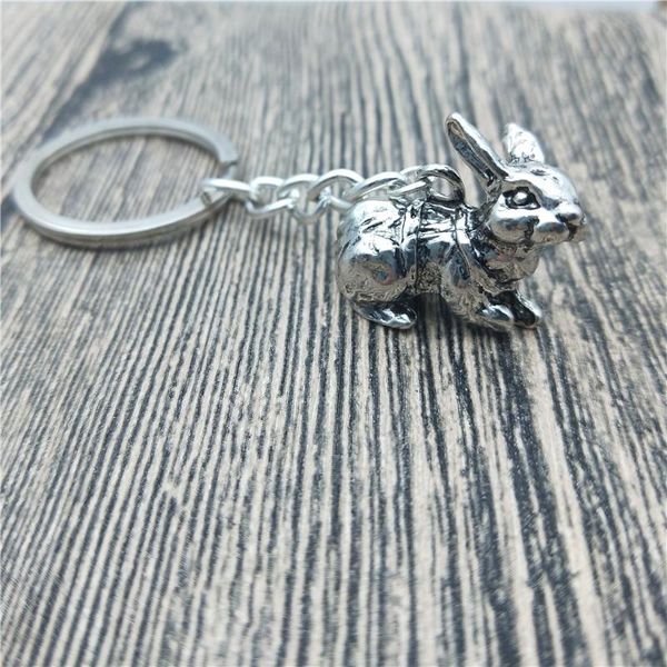 

keychains 3d key chains fashion jewellery trendy car keychain bag keyring for women men, Silver