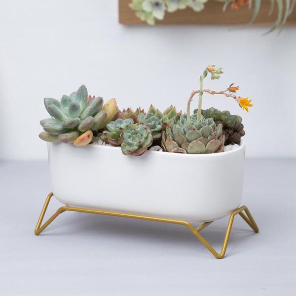 

planters & pots white ceramic flowerpot with gold metal stand succulent plant pot cactus planter drain hole flower tabledecor