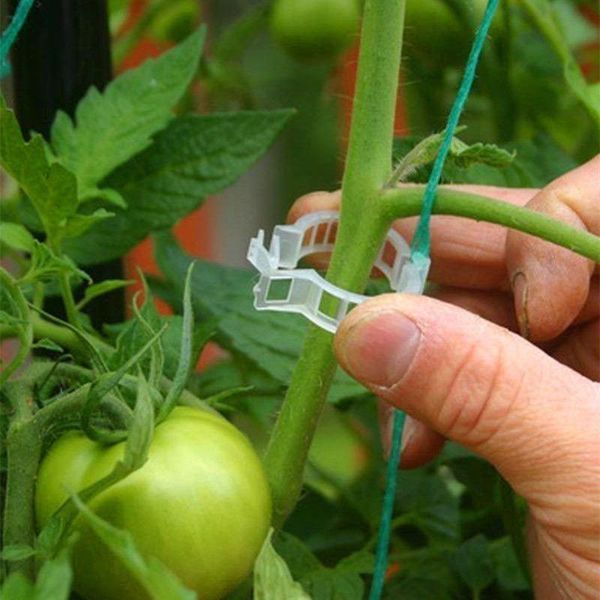 

planters & pots 50pcs 23mm plastic plant support clips for tomato hanging trellis vine connects plants greenhouse vegetables ornament