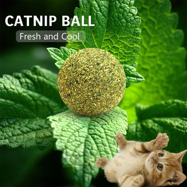 

cat toys pet natural catnip treat ball favor home chasing healthy safe edible treating teeth cleaning playing chew claw toy