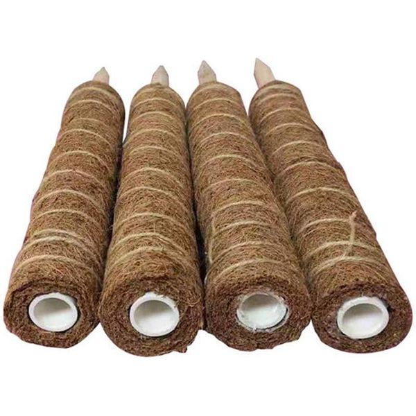 

decorative flowers & wreaths plant climbing coconut palm stick extending green pillar gardening 17.7 inch shell for s