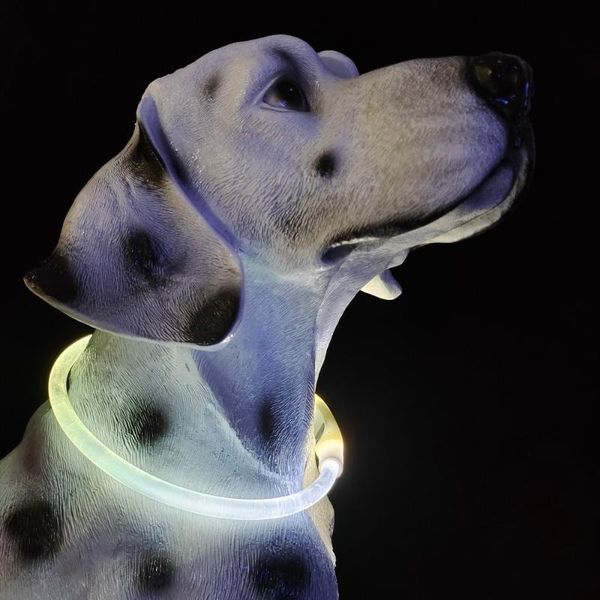 

cat collars & leads led dog collar lights pets adjustable polyester glow in night pet puppy safe luminous flashing necklace