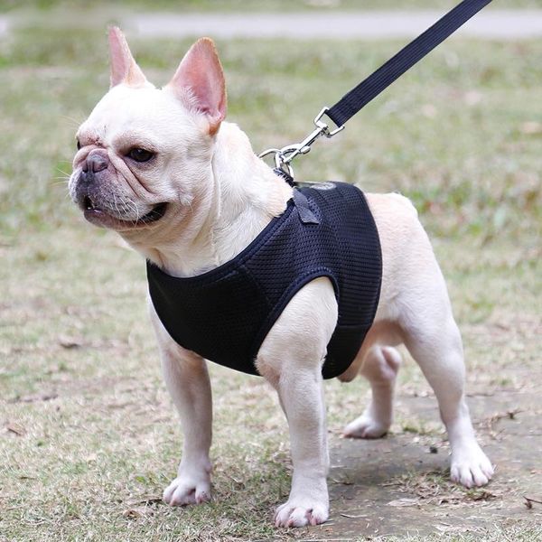 

dog collars & leashes vest harnesses kit breathable mesh fabric adjustable walking training with leading rope pet accessories