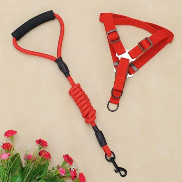 

dog collars & leashes hondenlijn running walk trein voor grote kat huisdieren looplijnen honden leash rope nylon vasthoudendheid