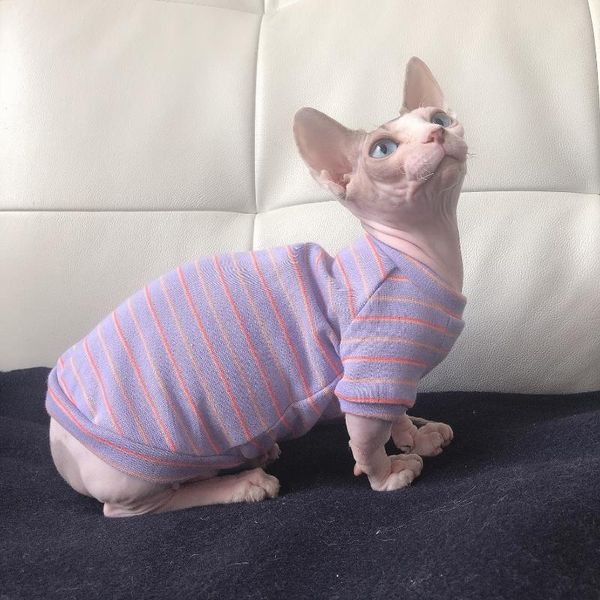 

cat costumes hairless clothes spring and autumn cotton t-shirt winter warm bottoming shirt accessories supplies