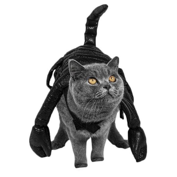

cat costumes funny pet dog clothes halloween cosplay costume scorpion design party for small medium supplies
