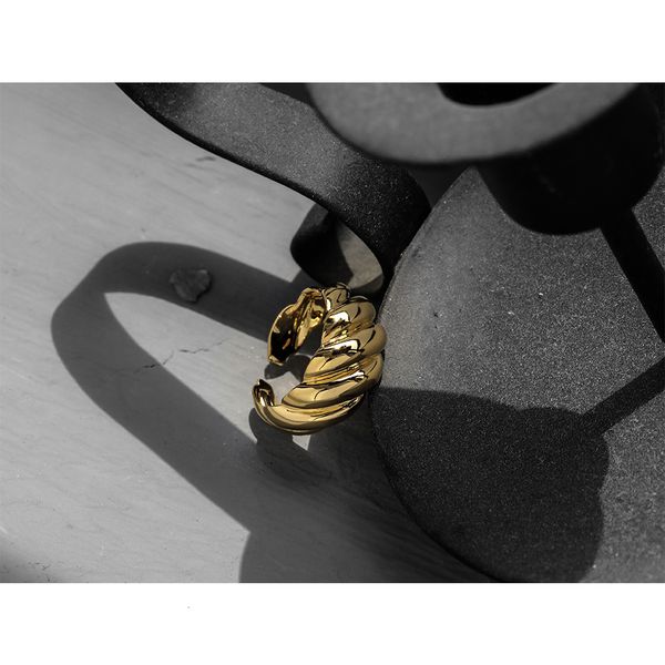 

black phoenix hand ornament vacuum electroplated horn bag open index finger simple ring cold wind ins, Silver